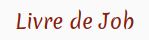 Livre de Job